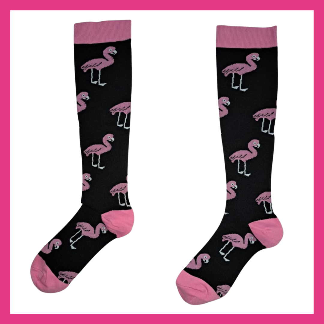 Fun Compression Sock Bundle - Animal Antics