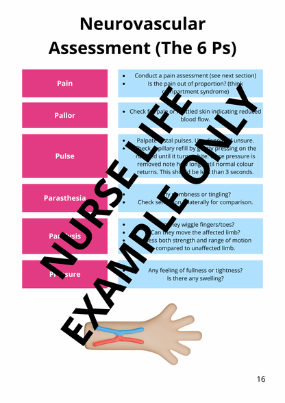 The Ultimate Adult Nursing Assessment Guide (Printed Edition)
