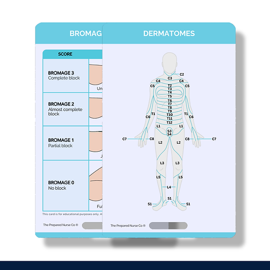 Nursing Reference Card - Dermatomes
