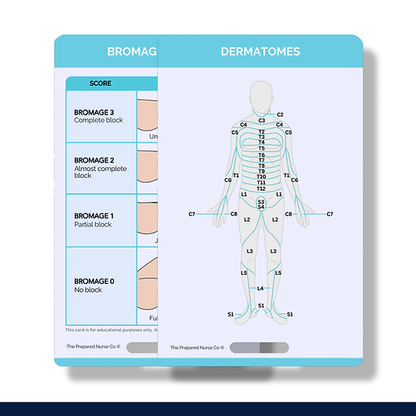 Nursing Reference Card - Dermatomes