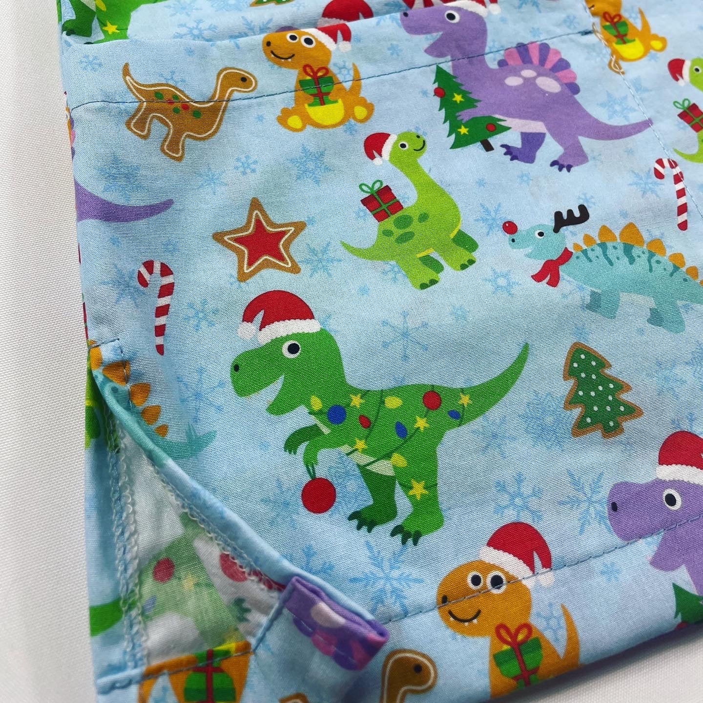 Limited Edition Pre-Order - Dinosaur Presents